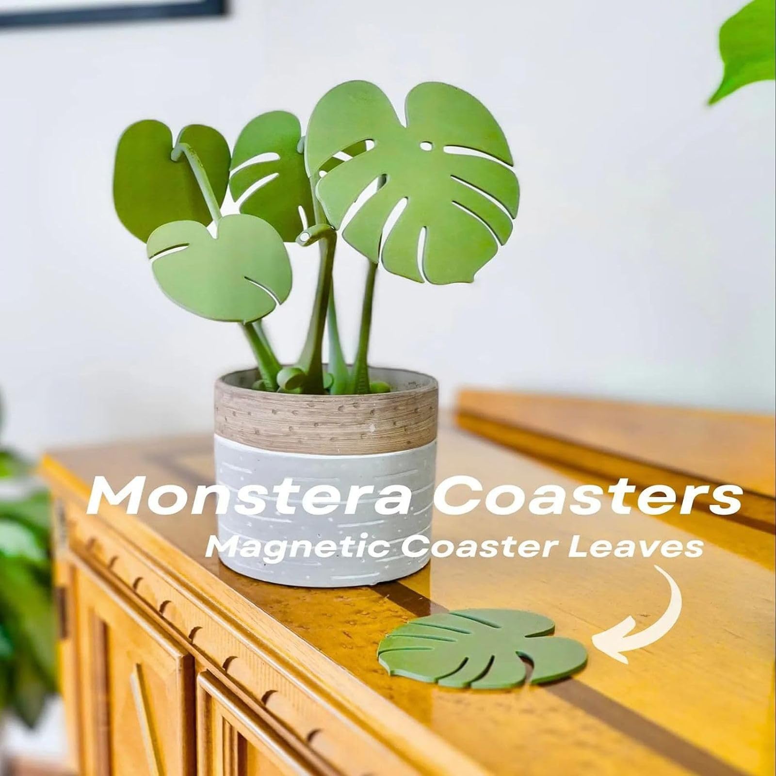Amazon | モンステラコースター 植物マグネット モンステラコースター